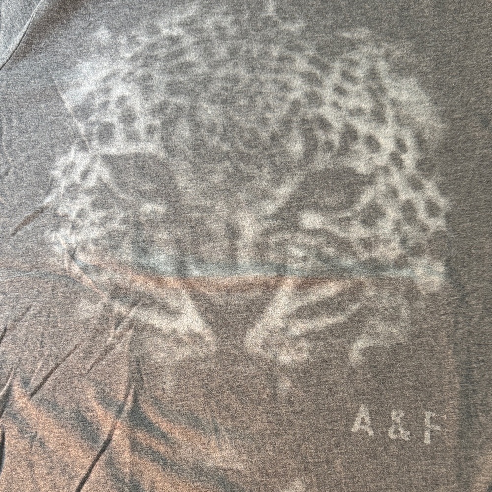 Abercrombie & Fitch Leopard Gray Graphic T-Shirt